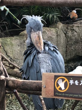 那須どうぶつ王国に投稿された画像（2022/2/20）