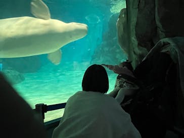 名古屋港水族館に投稿された画像（2022/2/20）