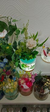 ずこうしつ〜sugamo〜に投稿された画像（2022/2/20）