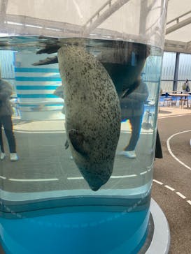 京都水族館に投稿された画像（2022/2/20）