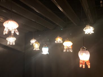 京都水族館に投稿された画像（2022/2/20）