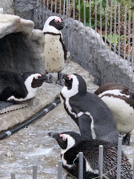 サンシャイン水族館に投稿された画像（2022/2/20）