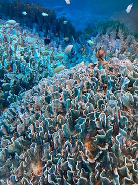 サンシャイン水族館に投稿された画像（2022/2/20）