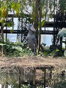 神戸どうぶつ王国に投稿された画像（2022/2/20）