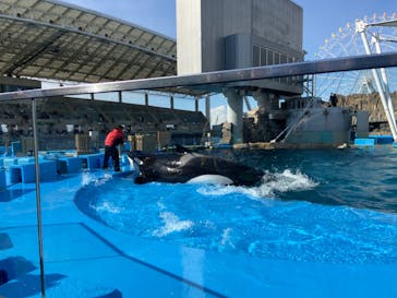名古屋港水族館に投稿された画像（2022/2/20）