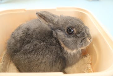 東武動物公園に投稿された画像（2022/2/20）