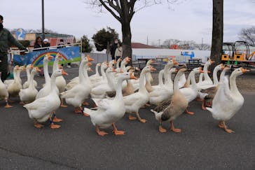 東武動物公園に投稿された画像（2022/2/20）