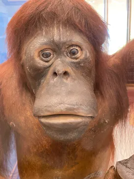 天王寺動物園に投稿された画像（2022/2/20）