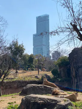 天王寺動物園に投稿された画像（2022/2/20）