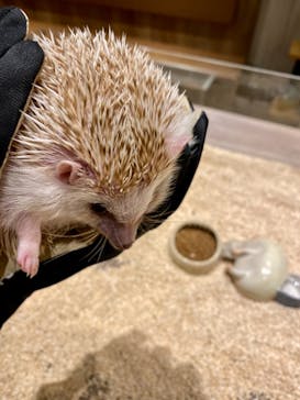 HARRY　横浜中華街店に投稿された画像（2022/2/20）