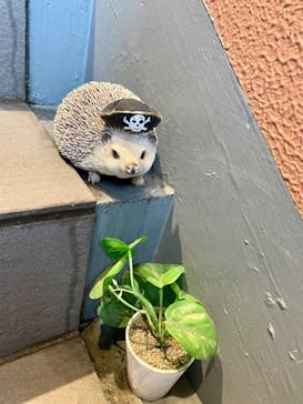 HARRY　横浜中華街店に投稿された画像（2022/2/20）