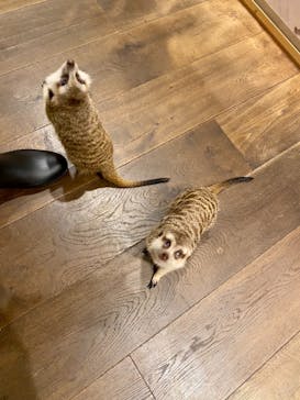 HARRY　横浜中華街店に投稿された画像（2022/2/20）