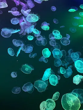 すみだ水族館に投稿された画像（2022/2/20）