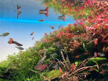 すみだ水族館に投稿された画像（2022/2/20）