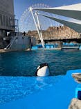 名古屋港水族館に投稿された画像（2022/2/21）