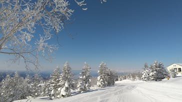 志賀高原焼額山スキー場に投稿された画像（2022/2/20）