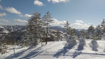 志賀高原焼額山スキー場に投稿された画像（2022/2/20）