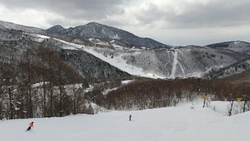 志賀高原マウンテンリゾートに投稿された画像（2022/2/20）