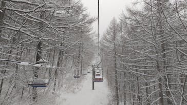 軽井沢プリンスホテルスキー場に投稿された画像（2022/2/20）