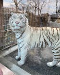 東武動物公園に投稿された画像（2022/2/21）