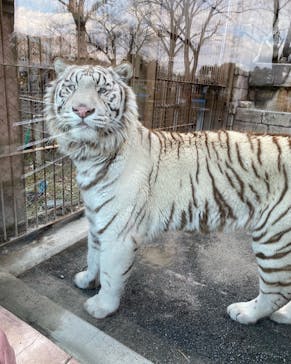東武動物公園に投稿された画像（2022/2/20）