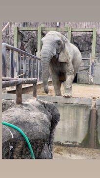 東武動物公園に投稿された画像（2022/2/20）