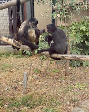 東武動物公園に投稿された画像（2022/2/20）