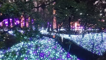 江の島シーキャンドルに投稿された画像（2022/2/20）