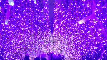 江の島シーキャンドルに投稿された画像（2022/2/20）