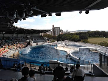 京都水族館に投稿された画像（2021/10/10）