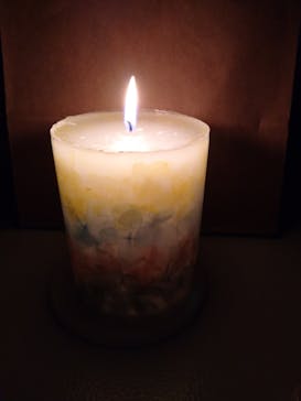 ずこうしつ〜sugamo〜に投稿された画像（2022/2/21）