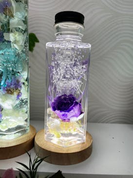 ずこうしつ〜sugamo〜に投稿された画像（2022/2/21）