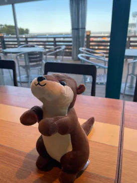 横浜・八景島シーパラダイスに投稿された画像（2022/2/21）