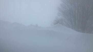 野沢温泉スキー場に投稿された画像（2022/2/21）