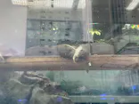 サンシャイン水族館に投稿された画像（2022/2/21）