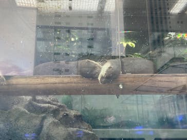 サンシャイン水族館に投稿された画像（2022/2/21）