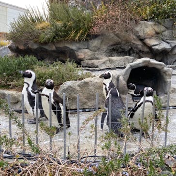 サンシャイン水族館に投稿された画像（2022/2/21）