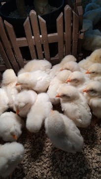 Moff アニマル カフェ イーアス 高尾店に投稿された画像（2022/2/21）