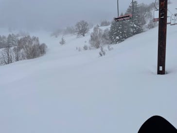 YAMABOKUワイルドスノーパークに投稿された画像（2022/2/21）