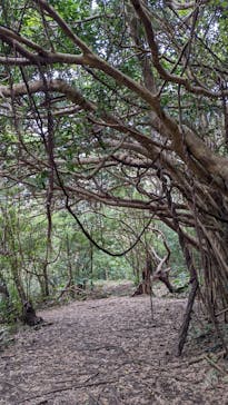 アスムイハイクスに投稿された画像（2022/2/21）