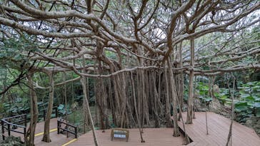 アスムイハイクスに投稿された画像（2022/2/21）