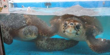 株式会社Gに投稿された画像（2022/2/21）