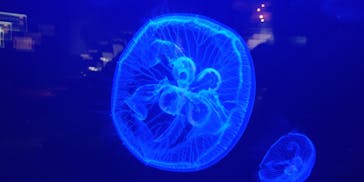 株式会社Gに投稿された画像（2022/2/21）