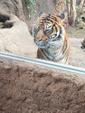 神戸どうぶつ王国に投稿された画像（2022/2/21）