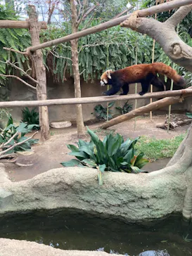 神戸どうぶつ王国に投稿された画像（2022/2/21）