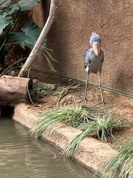 神戸どうぶつ王国に投稿された画像（2022/2/21）