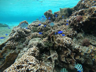 武藤潜水に投稿された画像（2022/2/22）