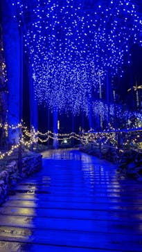 美らヤシパークオキナワ・東南植物楽園に投稿された画像（2022/2/22）