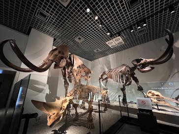 国立科学博物館に投稿された画像（2022/2/22）