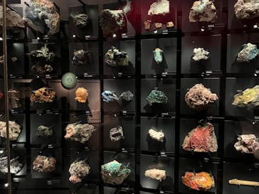 国立科学博物館に投稿された画像（2022/2/22）